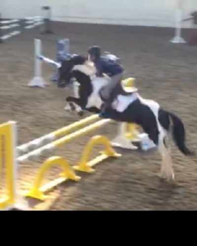 Serious Jumping Pony