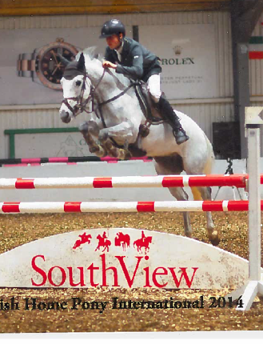 9yr Old Grade A Pony for sale