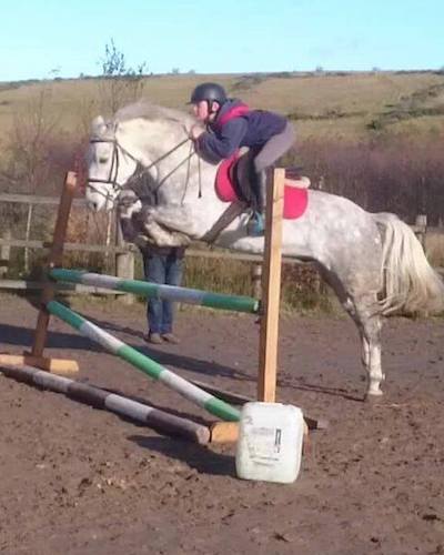 147cm 5yr old to make Top Jumping pony