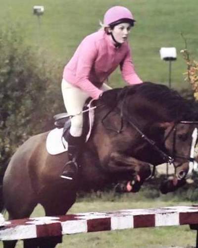 158cm Winning Show Mare for Sale