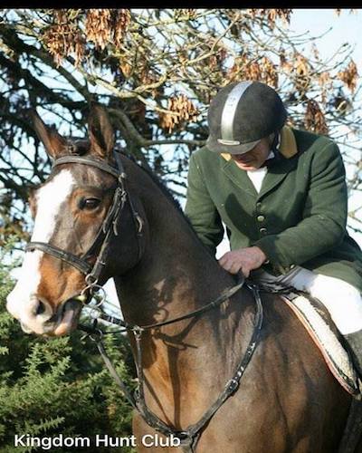Experienced Irish Fieldmasters Horse
