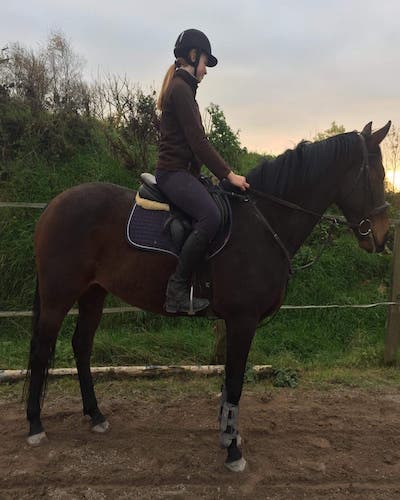 15.2hh 7yr Old Fun All-Rounder