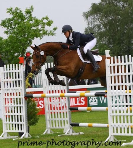 Top event horse 16.3hh 8yr olds POA