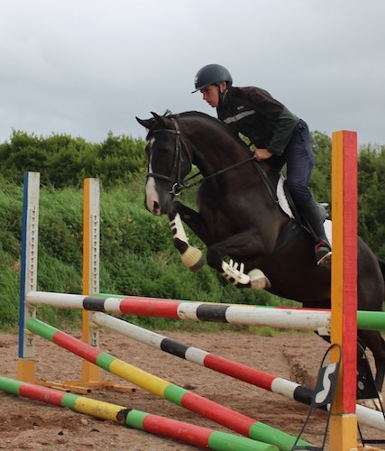 irish-competitioin-ponies-for-sale