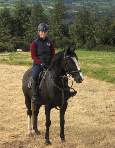 15.2hh 5yr old superb all-rounder