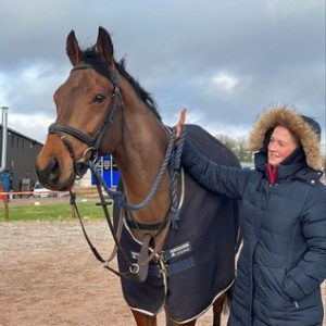 Superb flashy All-rounder/Riding club/Event horse POA