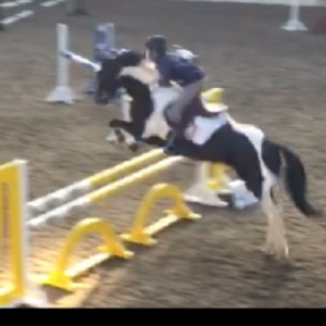 Serious Jumping Pony