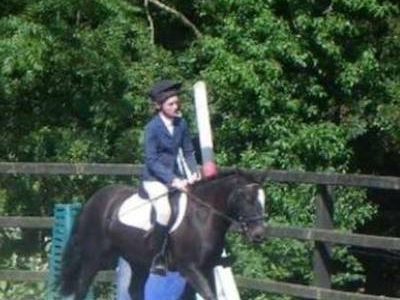 Talented, Fun well used 12.2hh pony