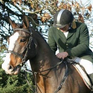 Experienced Irish Fieldmasters Horse