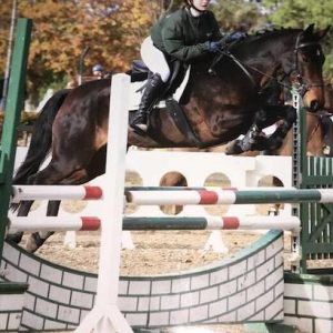 Jumping pony with 107 sji points