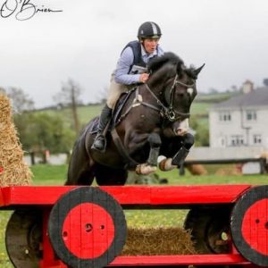 Superb 5yr Old Young Event Horse
