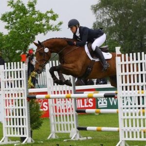 Top event horse 16.3hh 8yr olds POA