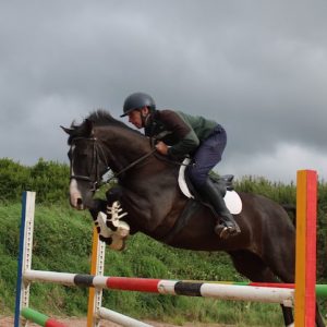 7yr Old jumping pony