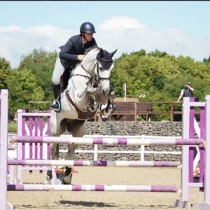 Outstanding 16.2hh 6yo Event type £36,500