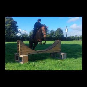 Smashing Full ID 5yo 16.2hh mare €11,000